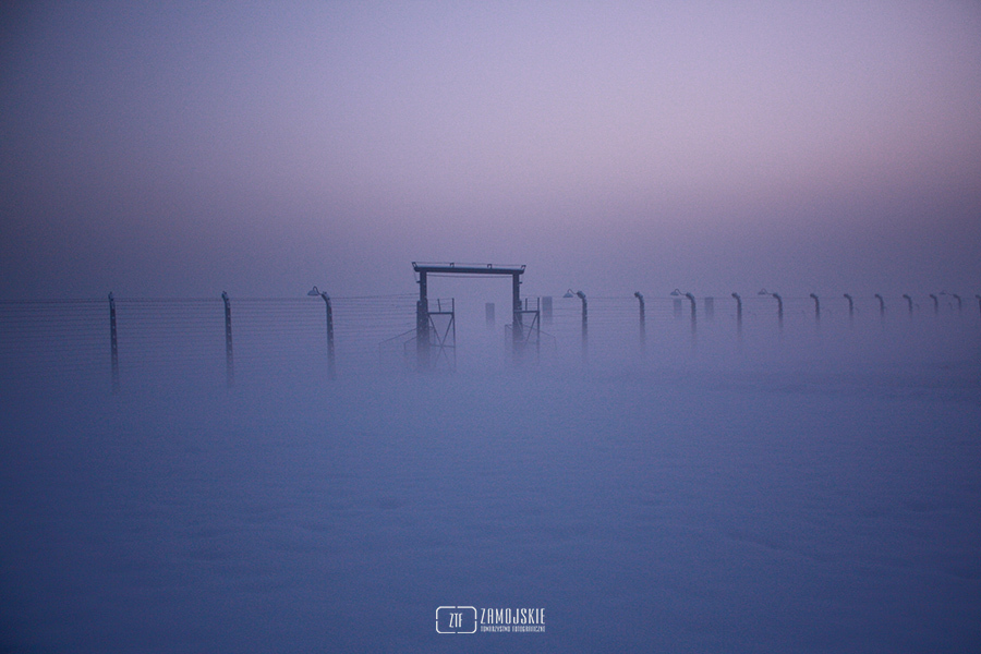 II nagroda âBirkenau IIIâ - Ĺukasz MaĹecki