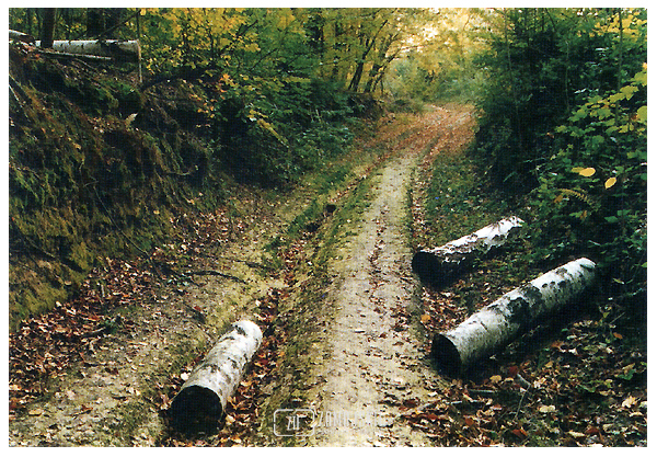 fot. Stanisław Orłowski